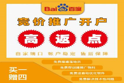 某知名品牌SEM优化托管的策略与成果
